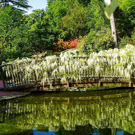 Prázdninový dům Pinetum Garden St Austell