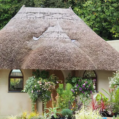 Pinetum Garden St Austell