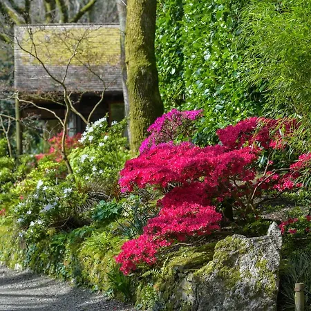 Pinetum Garden St Austell